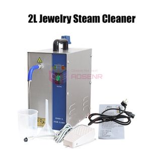 2L smycken Steam Cleaner Gem Washer Gold and Silver smycken Steam Cleaning Machine