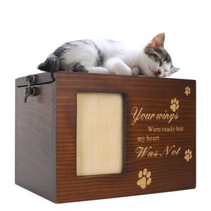 Diğer kedi, evcil hayvan külleri için ahşap urn kutusu sağlar.