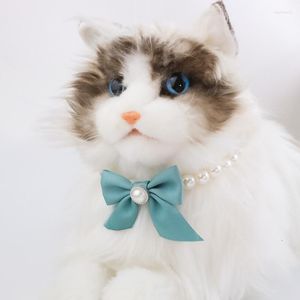 Collari per cani Cute Pearl Collar Artificiale Colorful Bow Cuppy Necklace Pet Cat Spring Summer Accessori