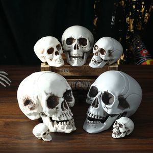 Outras festa de evento suprimentos de todos os tamanho Artificial Skull Skleletton Halloween decoração de terror assustador adereços pendurados no crânio de alta qualidade escultura de escultura Cabeça 230816