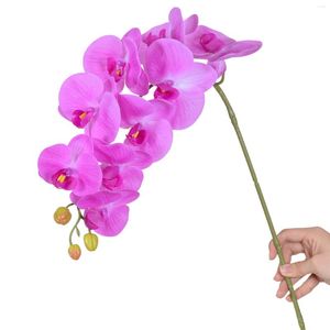 Fiori decorativi orchide orchide vera segnali touch stelo falaenopsis spray con 9 grandi per la disposizione domestica