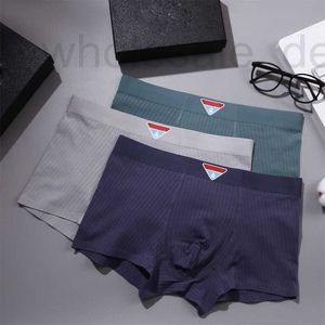 Underpants designer mens roupa interior sem costura boutique boxers puro algodão pele macia quatro cantos calças inferiores triângulo shorts cabeça azqa