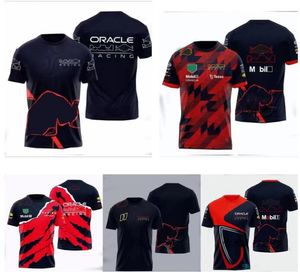 2024 New Formula One F1 Racing Team Fans t Shirts Polo Men's Short-sleeved with Custom Size Children 100cm-6xl