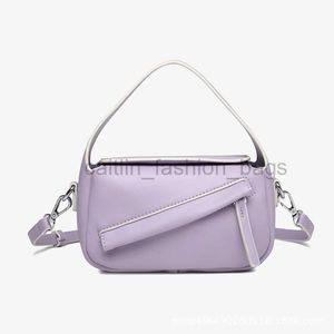 Designer Bag Guangzhou Women's New Artist Popular and Versatile This Yeers High Grade sned Straddle Handheld Designer Bag Caitlin_fashion_bags