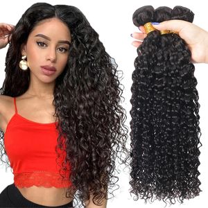 Onda d'acqua brasiliana fasci di capelli umani fasci di capelli ricci ricci non trasformati intrecciano l'acqua riccia 100g/fasino di tessuto per capelli vergine