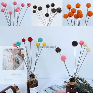 Dekorative Blumen Kränze 5pcs farbenfrohe Hausdekoration Schießen Requisiten DIY Basteln echte Blumenpflanze Stängel natürliche materielle getrocknete Blumen Blumensträuße HKD230818