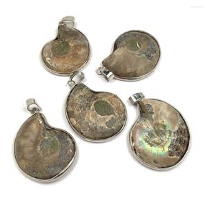 Pendant Necklaces Natural Semi-precious Stones Snail-shaped Beach Shell Charm Jewelry Making DIY Necklace Animal Mineral Specimens Gifts