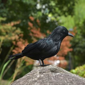 Oggetti decorativi Figurine Simulazione di Halloween Feather Black Crow Statue Table Bird Ornaments Accessori per festa Horror Decorazione da giardino Outdoor 230817