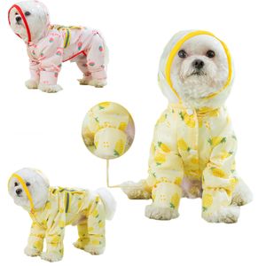 犬のアパレルレインコートフルーツプリントペットペット服かわいい4フィート犬衣類猫小さな防水ファッションヨークシャー230817