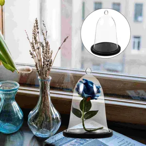 Fiori decorativi micro paesaggio vetro vaso per tavolo decorazioni a cupola per ornamenti a prova di polvere