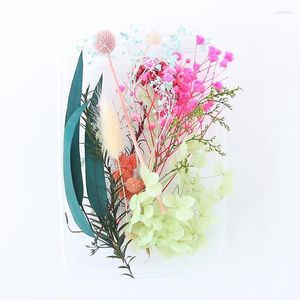 Dekorative Blüten echte getrocknete Blätter für DIY -Kunsthandwerk gemischt mehrere trockene Blumenkerzenharzschmuck Anhänger C66