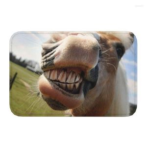 Carpets Funny Horse Laughing Doormat Anti-Slip Kitchen Bathroom Mat Living Room Door Floor Entrance Carpet Rug