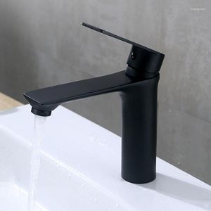 Bathroom Sink Faucets Copper Washbasin And Cold Faucet Toilet Basin Domestic Black Paint