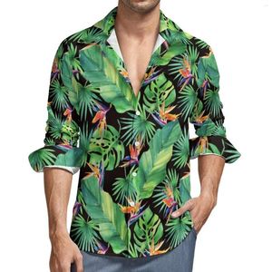 Camisas casuais masculinas Jungle Tropical Print camisa pássaro do paraíso de manga longa de manga longa blusas estéticas Moda de primavera grande top de tamanho grande