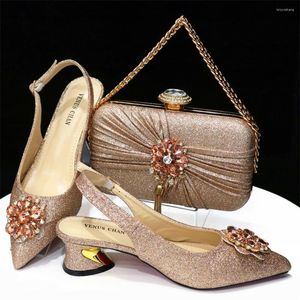 Обувь для обуви 2023 Цвет шампанского зрелый стиль офисная леди африканская женщина и сумки