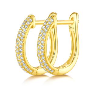 Pass Tester Fashion Jewelry Round Moissanite Hoop Earrings Moissanite Diamond Earrings for Men Women Gift