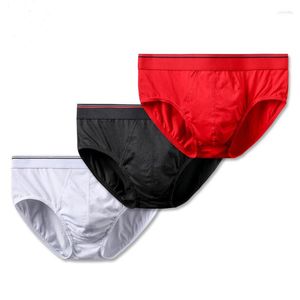 Underpants Rabatt Cotton Herren -Briefs Unterwäsche Drop Plus Size Männer Höschen bequem