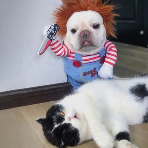 Hundkläder Deadly Doll Dog Costume Funny Party Cosplay Novelty Cat Dog Clothes For Halloween Christmas Cute Scary and Spooky Pet Costume 230821