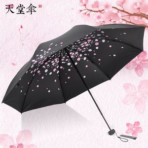 우산 태양 우산 UV 보호 검은 접착제 슈퍼 비 및 이중 사용 접이식 여성 신선함