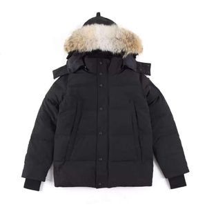 Hochwertige Herren-Daunenjacke, Gänsemantel, echtes großes Wolfsfell, kanadischer Wyndham-Mantel, Kleidung, Modestil, Winter-Oberbekleidung, Parka