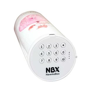 Brinquedos de aprendizagem nbx codificado bloqueio senha lápis caso coelho gato caneta titular grande capacidade caixa de papelaria escritório em casa escola armazenamento pencilcase