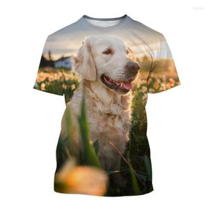 Herr t-skjortor labrador hund t-shirts djur 3d tryck streetwear män kvinnor avslappnad mode överdimensionerad kort ärm skjorta barn tees toppar