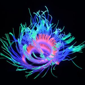 Dekoracje akwarium akwarium Ozdoby krajobrazowe Symulacja silikonowa miękka korpus koralowa odmiana anemonu Dekoracja fluorescencyjna 230821