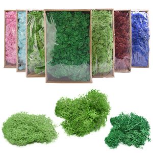 Faux Floral Greenery High Quality Artificial Green Plant Immortal Fake Flower Moss Grass Home Living Room Decorative Wall DIY Mini Accessories 230822