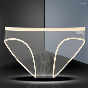Underpants 1 2 Pcs Transparent Underwear Men Low-Waist Ultra-Thin Net Mesh Sexy Briefs Breathable U Pouch Male266x
