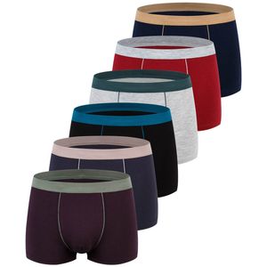 Underpants 6pcs Lot Large Size Seamless Underwear Men Solid Cotton Boxer Shorts Men s Panties Breathable Boxers Mens Pack Man 230823