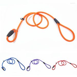 Ошейники для собак 1pc No-Pull Nylon Train Train Trainsh Leash Голова домашних животных Слип