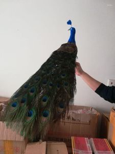 Gartendekorationen Real Life Peacock Model Foamfeather Schönes Vogelgeschenk ungefähr 80 cm d0037