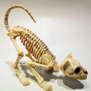 Dekorativa föremål Figurer Halloween Scary Skeleton Decoration 1pcs Crouching Cer Skeleton Cat Skull Model Creepy Animal Bones for Vampire Party Trick 230823