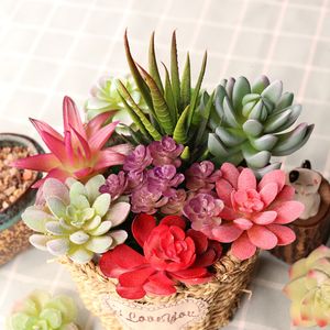 Faux Floral Greenery Mini Artificial Succulent Plants Green Various Plastic Home Garden Ornament Decoration Fake plante artificielle 230822