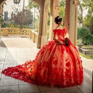 3D Çiçek Dantel Quinceanera Elbise Balo Elbisesi Omuz Korse Pageant Tatlı 15 Parti Vestidos De Dresses 2024