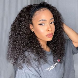 220%Dichte Kinky Curly Human Hair Perücke Stirnband Perücken menschliches Haar Glulose Perücke bereit, 12 bis 30 Zoll brasilianische Haarperücken zu tragen