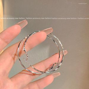 Hoop Earrings Colorful L Arrival Korean Circle Personality Exaggerated Metal S925 Sterling Silver For Women Party Jewelry