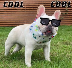 Fashion Tide Brand Conclusão de cachorro gelo cão de cães de verão alívio de calor e prevenção de insultos de gelo