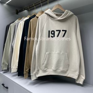 Męskie projektant bluzy z kapturem Ess 1977 Hooded Pullover Loose Hoodie Man Blue For Women Pullover Mężczyźni Crewneck bawełniana bluza z długim rękawem