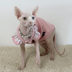 Katze Kostüme Kleidung Schlupfkleid Spitze Flroral Rock für Sphynx Devon Rex Sweet Hosspeender Baumwollweste Frühlingssommer Outwear