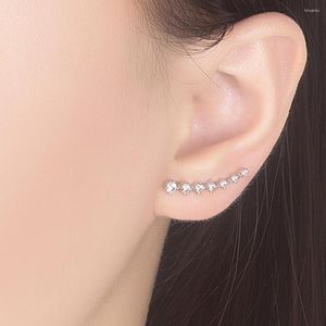 Stud Earrings Dankadi 925 Sterling Silver Star Flower Shining River CZ Zircon Elegant Noble Rose Gold Gift For Lady