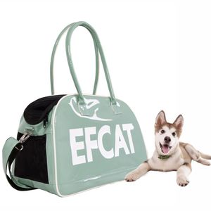 Guitar Large Pet Dog Cat Carrier Bag Fashion Silber Bag Transport Carrying for Puppy Kitty