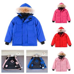 barn designer jacka småbarn vinter jackor baby parka kappa pojke flicka broderi kanadensiska gås tjocka varma rockar toppar outwear