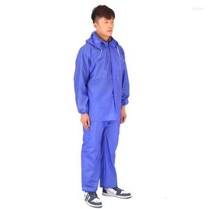 Impermeabili in PVC ispessito Tendine di manzo Tuta impermeabile Pantaloni antipioggia divisi Protezione del lavoro del sito di raccolta del tè non usa e getta