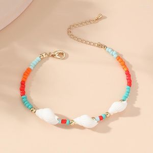 Link Bracelets Bracelet For Women Fashionable Colorful Seed Beads Conch Metal Luxury Jewelry All Match Female Gifts Adjustable Chain