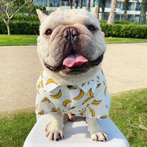 Cão vestuário moda cão de estimação verão havaí camisa roupas de resfriamento para pequeno cachorrinho médio cães tshirt schnauzer francês bulldog pug tpc27 230825