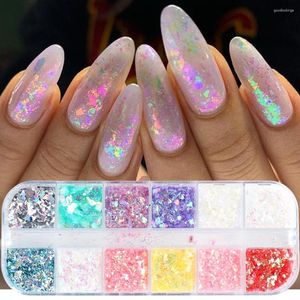 Glitter per unghie 12 griglie fiocchi 3D Aurora Chunky Paillettes Polvere opale olografica per accessori per unghie manicure