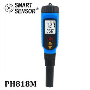 PH Meters Professional Food PH Tester Portable Pen Type pH Meter Alkalinity Meter Meat Vegetables Fruits Dairy pH Temperature Detection 230826