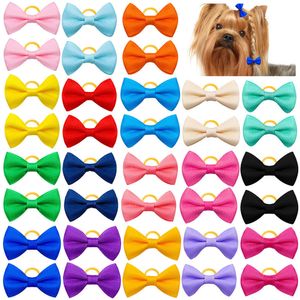 Kostiumy kota kolorowy pies Bowknot Pet Hair Bows Udekoruj stały kolor gumką dla małych psów Puppy Akcesoria 230825