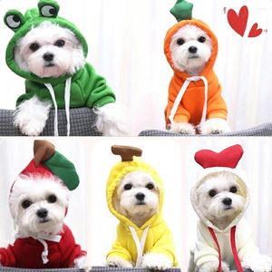 Hundkläder söta fruktkläder för små hundar hoodies vinter varm fleece husdjur kläder valp katt dräkt franska chihuahua outfit